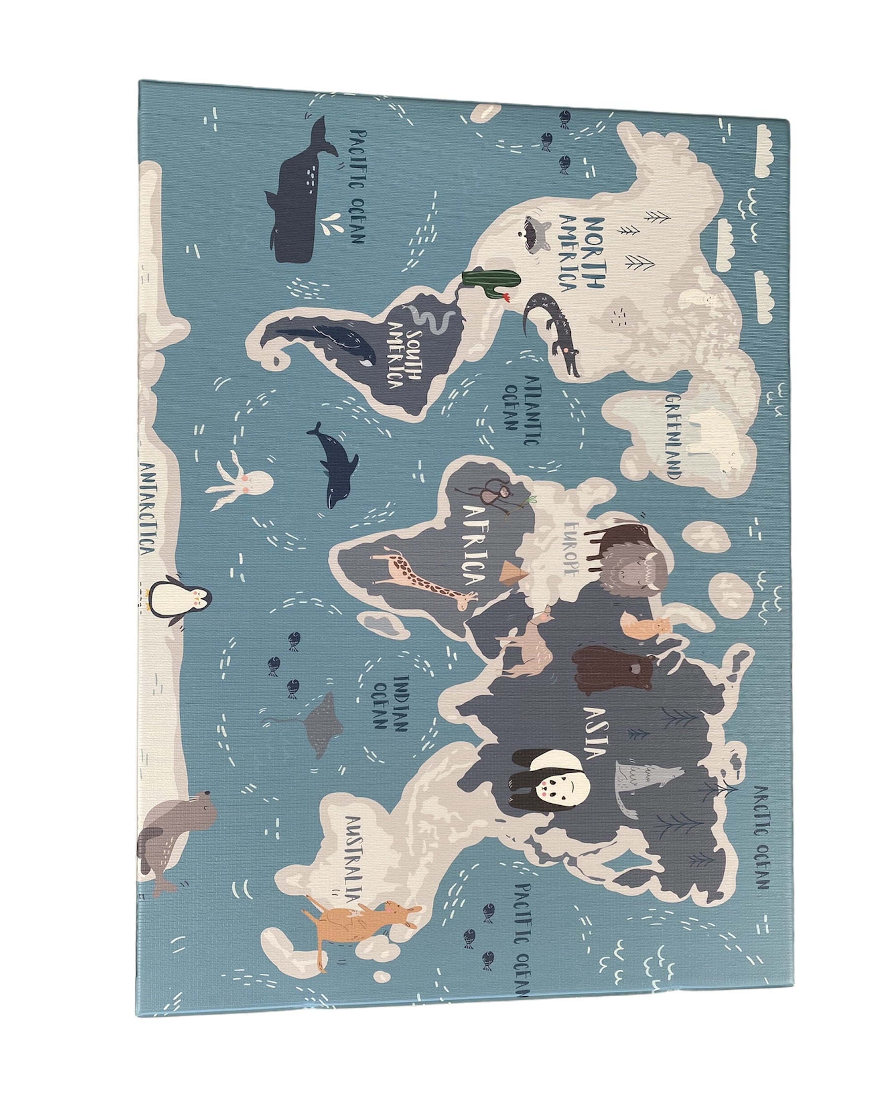 LIZY KIDS® Svet in linije